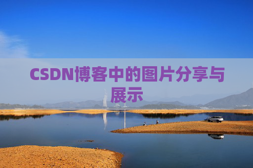 CSDN博客中的图片分享与展示